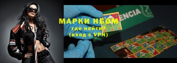 сатива Алзамай