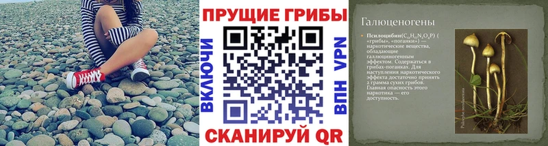 Галлюциногенные грибы Cubensis  Богучар 